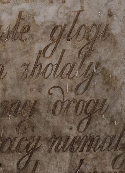 Image 78