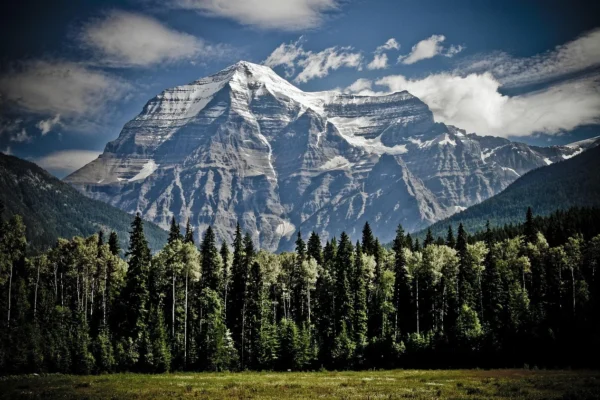 Post photo 1